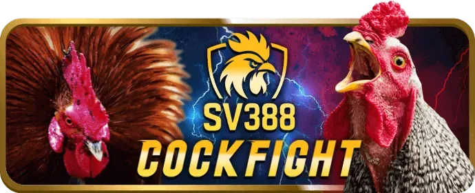 Chính sách chơi có trách nhiệm tot88 code